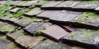 Tyldesley roof repair costs